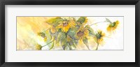 Framed Sun Kissed Sunflowers