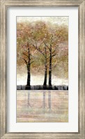 Framed Serene Forest  3