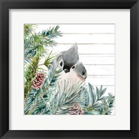 Framed Winter Birds 4