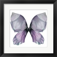 Framed Floral Butterfly 3