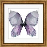 Framed Floral Butterfly 3