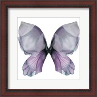 Framed Floral Butterfly 3