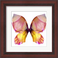 Framed Floral Butterfly 4