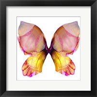 Framed Floral Butterfly 4