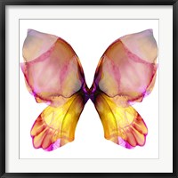 Framed Floral Butterfly 4