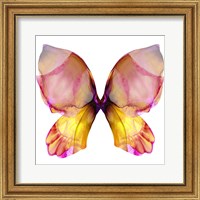 Framed Floral Butterfly 4