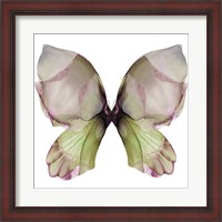 Framed Floral Butterfly 1