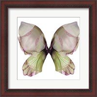 Framed Floral Butterfly 1