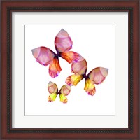 Framed Floral Butterfly Trio