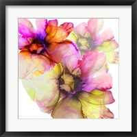 Framed Vibrant Floral 1