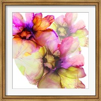 Framed Vibrant Floral 1