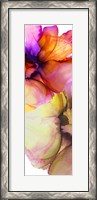 Framed Vibrant Pink Florals 2