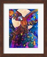 Framed Vibrant Parrot