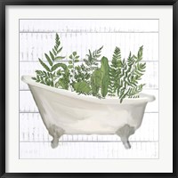 Framed Fern Bath 1