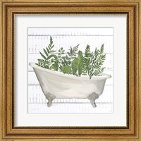 Framed Fern Bath 1