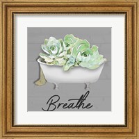 Framed Breathe Succulent