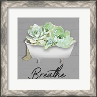 Framed Breathe Succulent