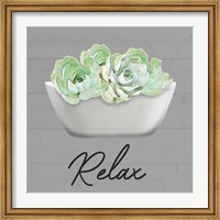 Framed Relaxed Succulent