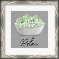 Framed Relaxed Succulent