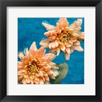 Framed Orange Chrysanthemums