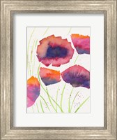 Framed Poppies July