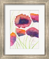 Framed Poppies July