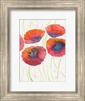 Framed Poppies July 2