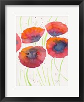 Framed Poppies July 2
