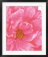 Framed Pink Flower 2
