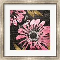 Framed Black Rose 1