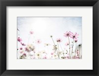 Framed Wildflower Spring