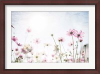 Framed Wildflower Spring