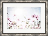 Framed Wildflower Spring