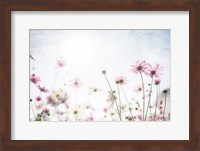 Framed Wildflower Spring