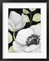 Framed Anemone On Black 2