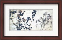 Framed Dried Flowers