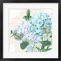 Hydrangea 2 Framed Print