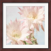Framed Cactus Bloom