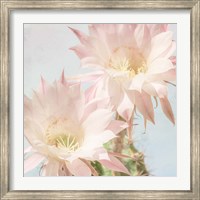 Framed Cactus Bloom