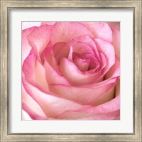 Framed Strength Rose 2