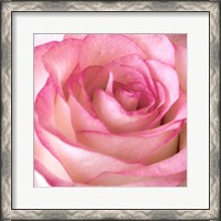 Framed Strength Rose 2