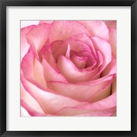 Framed Strength Rose 2