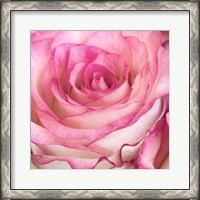 Framed Strength Rose 3