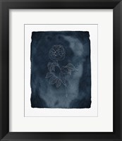 Framed Blue Floral 2