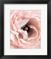 Framed Pretty in Pink Floral
