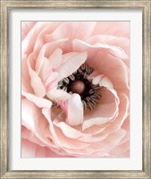 Framed Pretty in Pink Floral