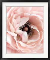 Framed Pretty in Pink Floral