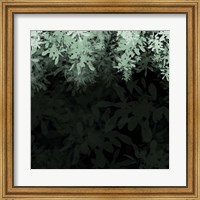 Framed Dark Tropical I