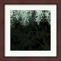 Framed Dark Tropical I