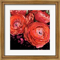 Framed Fiery Ranunculus